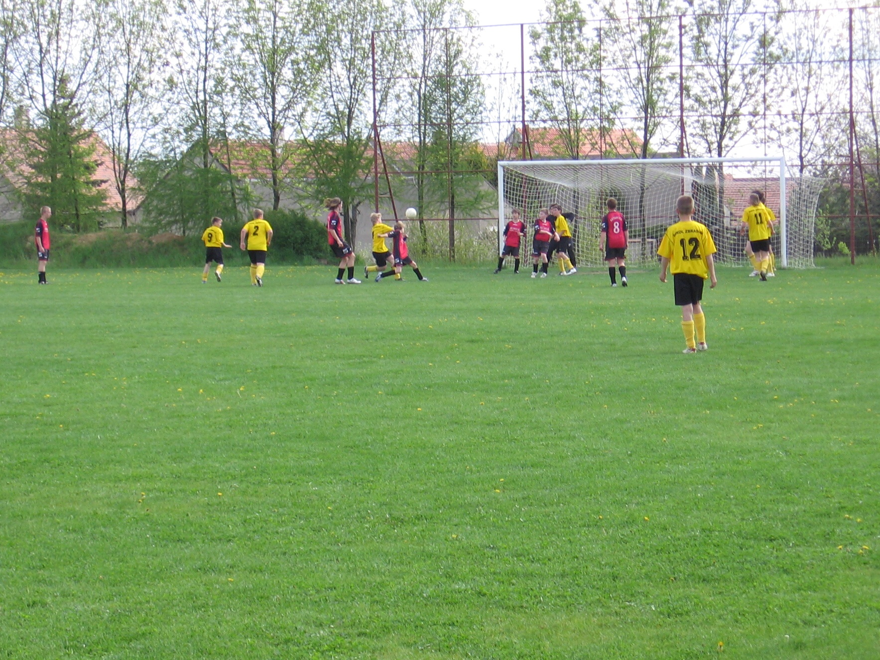 06.jpg